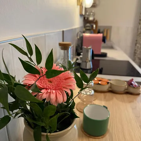 Szlak Loft